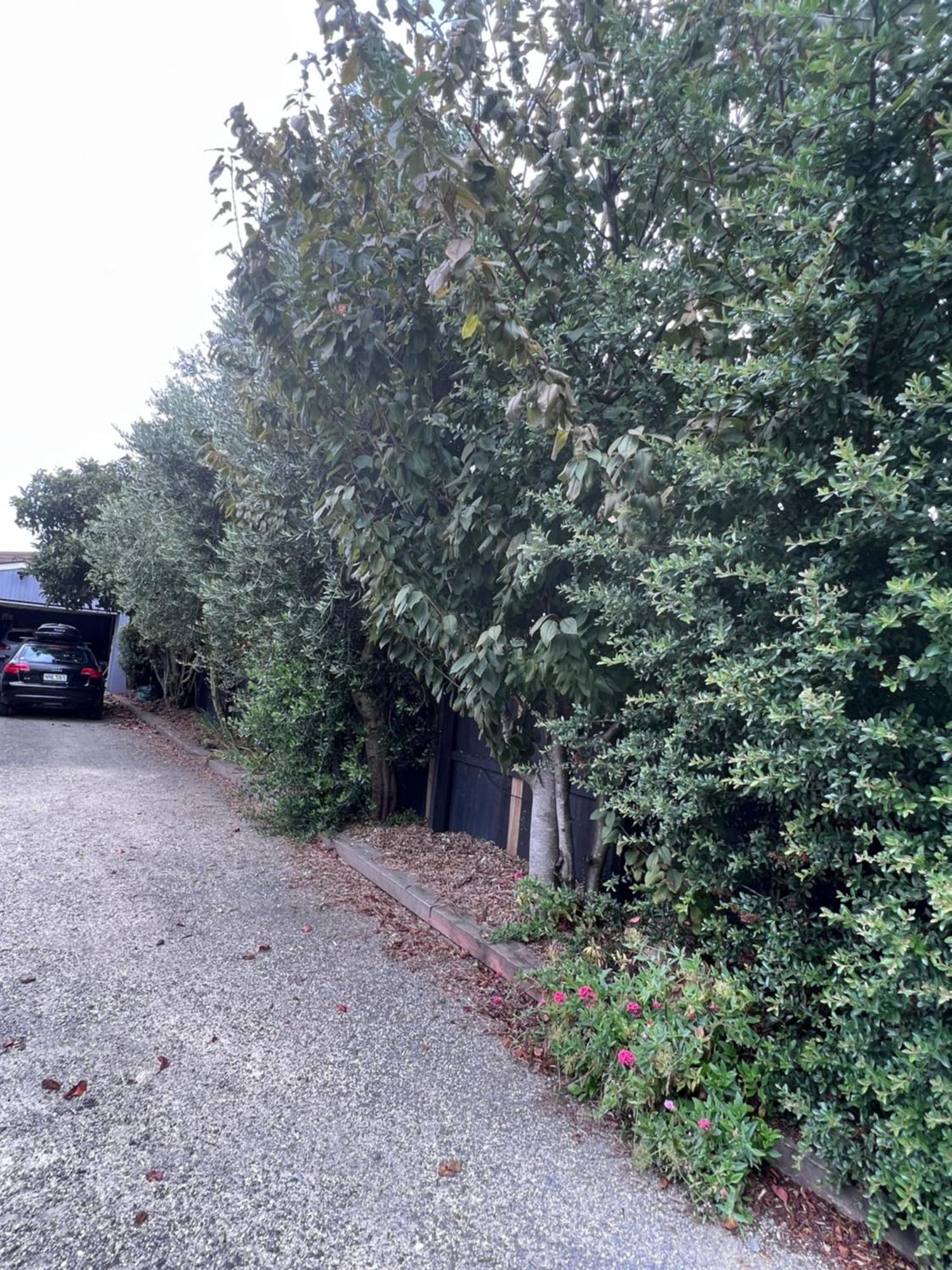 Gorgeous Villa, 7 Minutes From Airport Christchurch Exterior photo